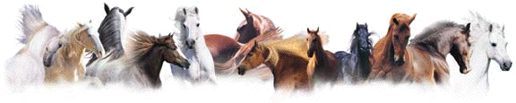 rub-barres-de-separation-animaux-9.gif